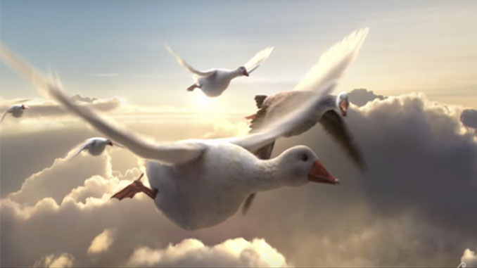 Air New Zealand goose ad