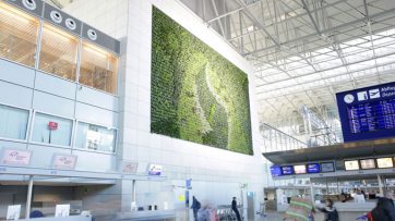 Frankfurt Airport's green walls